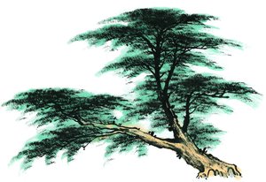 松原市空調有限責任公司